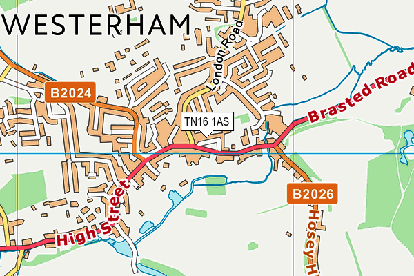 Map of GRASSHOPPER WESTERHAM LIMITED at district scale