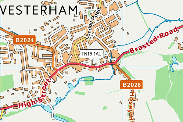Map of WESTERHAM SOLICITORS LIMITED at district scale