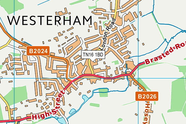 TN16 1BD map - OS VectorMap District (Ordnance Survey)