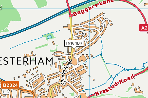 TN16 1DR map - OS VectorMap District (Ordnance Survey)