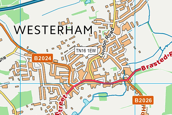 Map of WALNUT TREE CLOSE (WESTERHAM) LIMITED at district scale