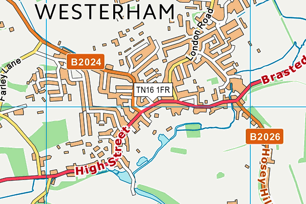 TN16 1FR map - OS VectorMap District (Ordnance Survey)