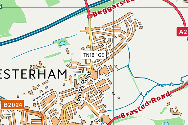 TN16 1GE map - OS VectorMap District (Ordnance Survey)