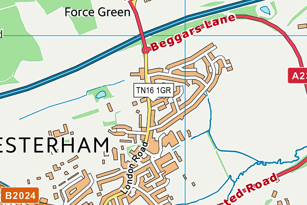 TN16 1GR map - OS VectorMap District (Ordnance Survey)
