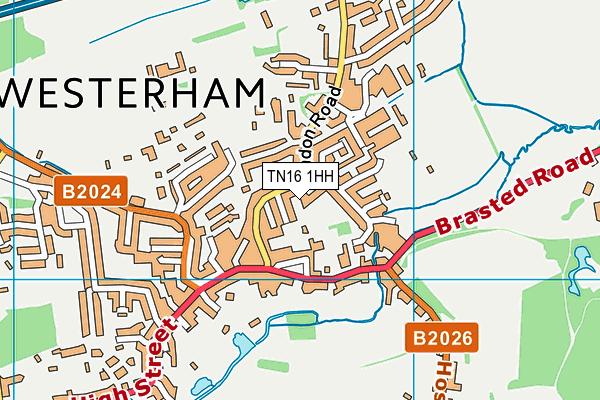 TN16 1HH map - OS VectorMap District (Ordnance Survey)