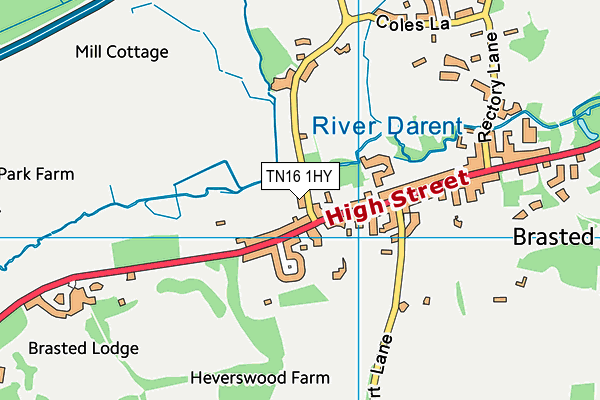 TN16 1HY map - OS VectorMap District (Ordnance Survey)