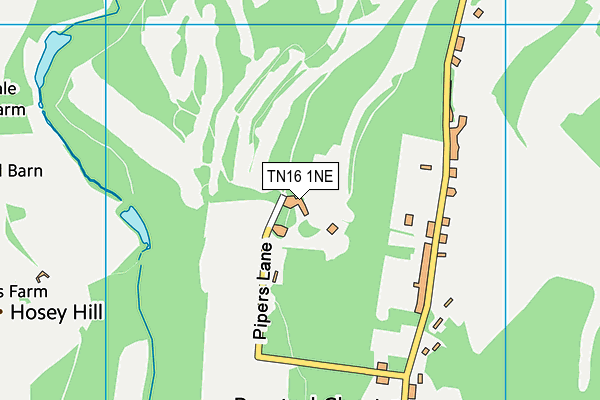 TN16 1NE map - OS VectorMap District (Ordnance Survey)