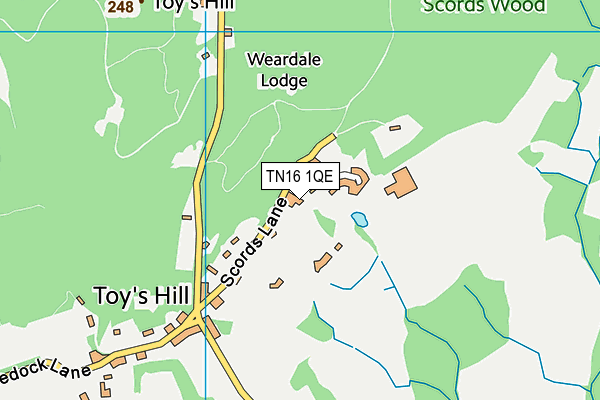 TN16 1QE map - OS VectorMap District (Ordnance Survey)