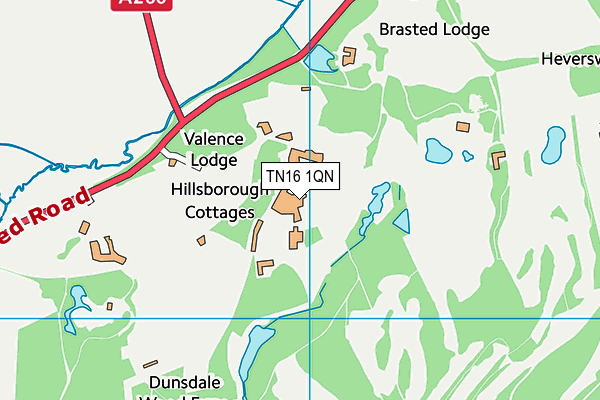 Valence School map (TN16 1QN) - OS VectorMap District (Ordnance Survey)