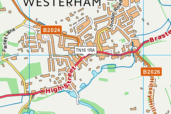 TN16 1RA map - OS VectorMap District (Ordnance Survey)
