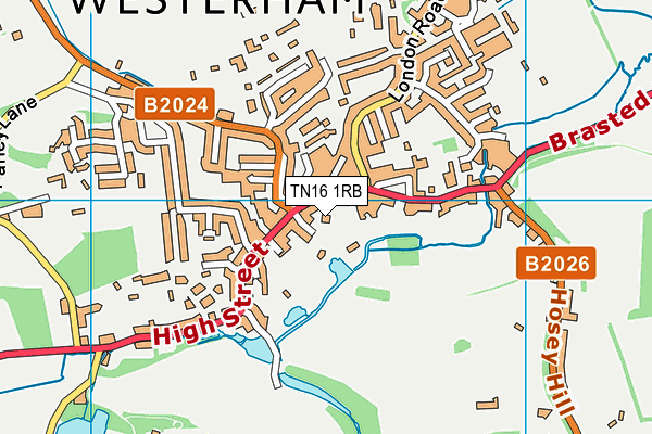 TN16 1RB map - OS VectorMap District (Ordnance Survey)