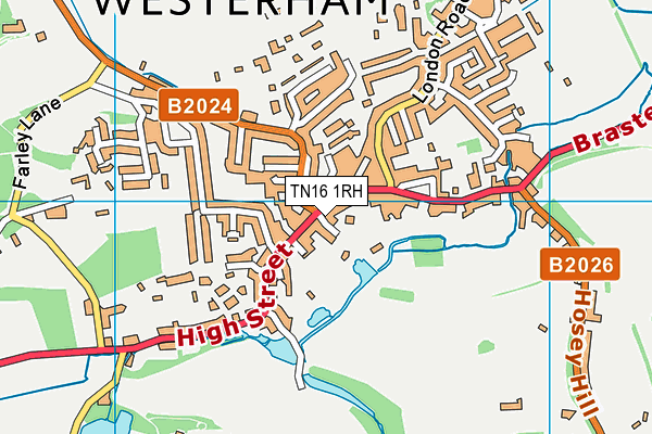 TN16 1RH map - OS VectorMap District (Ordnance Survey)