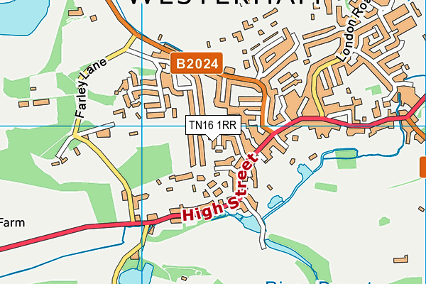 TN16 1RR map - OS VectorMap District (Ordnance Survey)