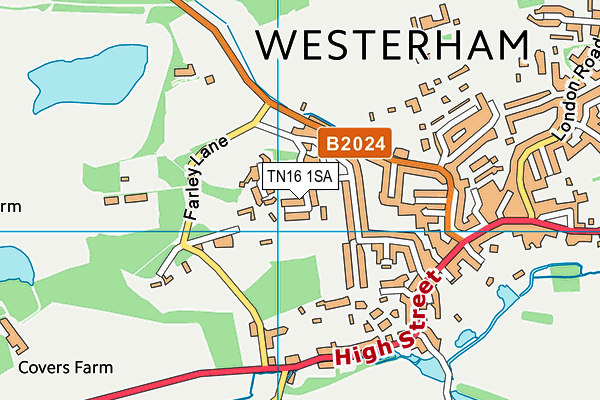 TN16 1SA map - OS VectorMap District (Ordnance Survey)