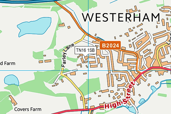 TN16 1SB map - OS VectorMap District (Ordnance Survey)