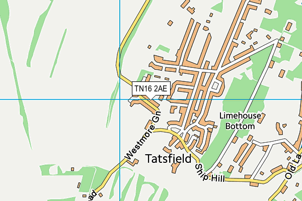 TN16 2AE map - OS VectorMap District (Ordnance Survey)