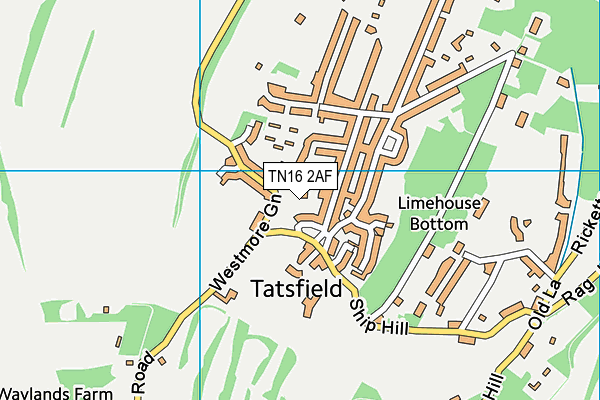 TN16 2AF map - OS VectorMap District (Ordnance Survey)
