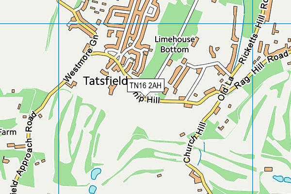 Tatsfield Primary School map (TN16 2AH) - OS VectorMap District (Ordnance Survey)