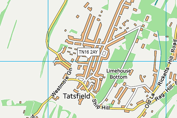 TN16 2AY map - OS VectorMap District (Ordnance Survey)