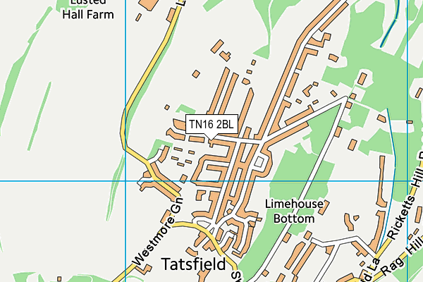 TN16 2BL map - OS VectorMap District (Ordnance Survey)