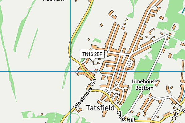 TN16 2BP map - OS VectorMap District (Ordnance Survey)