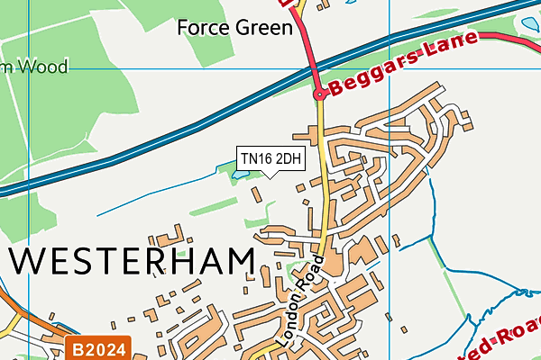TN16 2DH map - OS VectorMap District (Ordnance Survey)