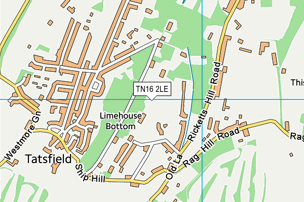 TN16 2LE map - OS VectorMap District (Ordnance Survey)