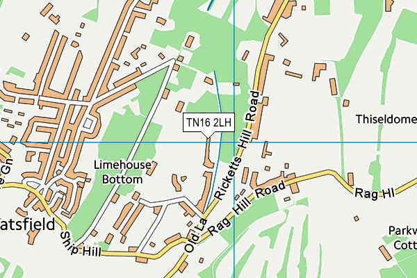 TN16 2LH map - OS VectorMap District (Ordnance Survey)