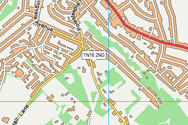 TN16 2NG map - OS VectorMap District (Ordnance Survey)