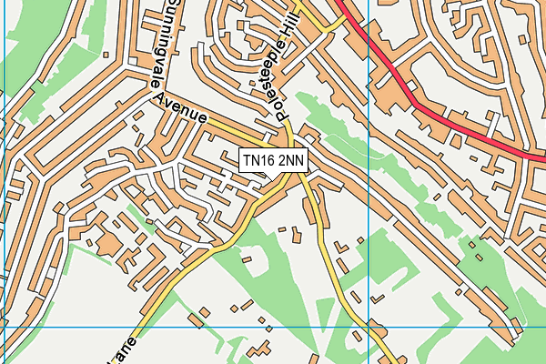 TN16 2NN map - OS VectorMap District (Ordnance Survey)