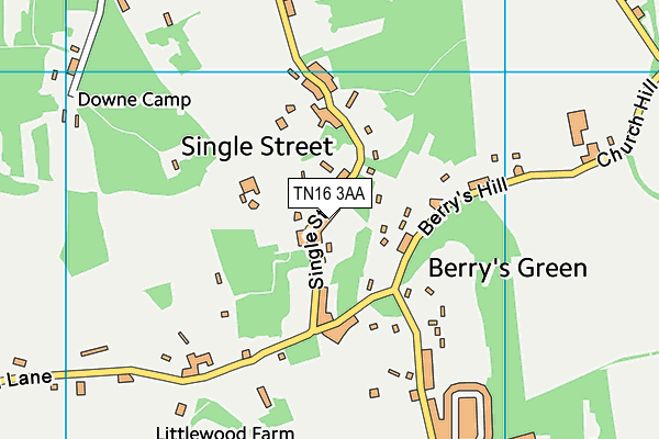 TN16 3AA map - OS VectorMap District (Ordnance Survey)