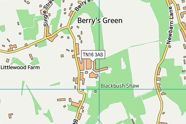 TN16 3AS map - OS VectorMap District (Ordnance Survey)