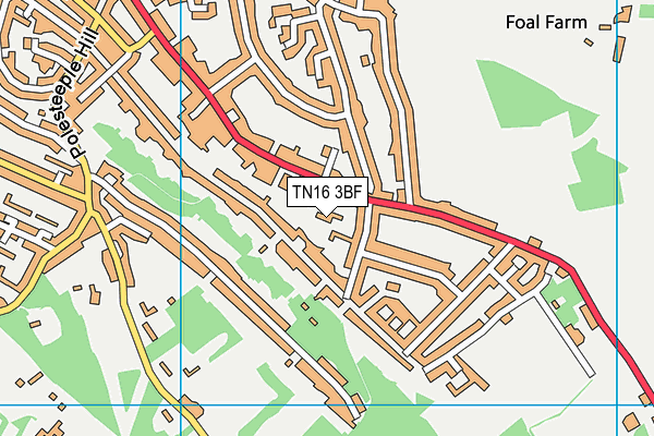 TN16 3BF map - OS VectorMap District (Ordnance Survey)