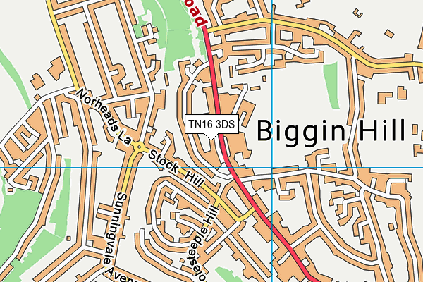 TN16 3DS map - OS VectorMap District (Ordnance Survey)
