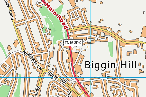 TN16 3DX map - OS VectorMap District (Ordnance Survey)