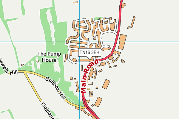 TN16 3EH map - OS VectorMap District (Ordnance Survey)