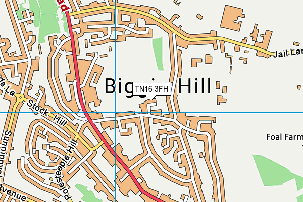 TN16 3FH map - OS VectorMap District (Ordnance Survey)