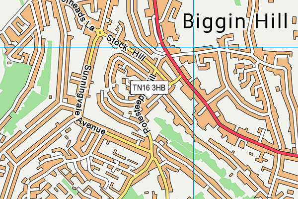 TN16 3HB map - OS VectorMap District (Ordnance Survey)