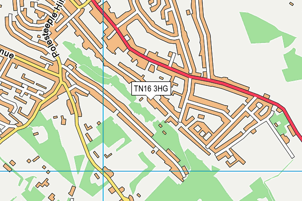 TN16 3HG map - OS VectorMap District (Ordnance Survey)