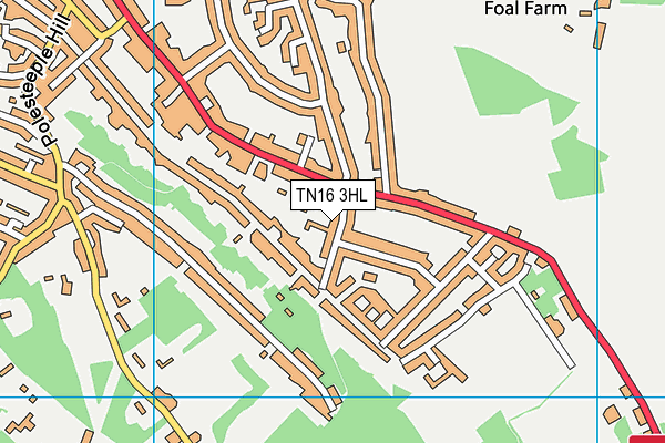 TN16 3HL map - OS VectorMap District (Ordnance Survey)