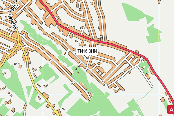 TN16 3HN map - OS VectorMap District (Ordnance Survey)