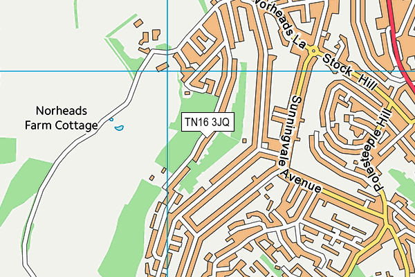 TN16 3JQ map - OS VectorMap District (Ordnance Survey)