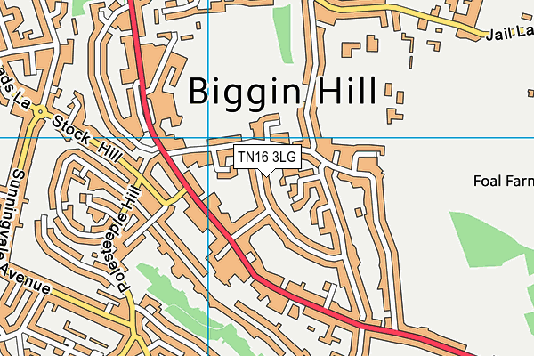 TN16 3LG map - OS VectorMap District (Ordnance Survey)
