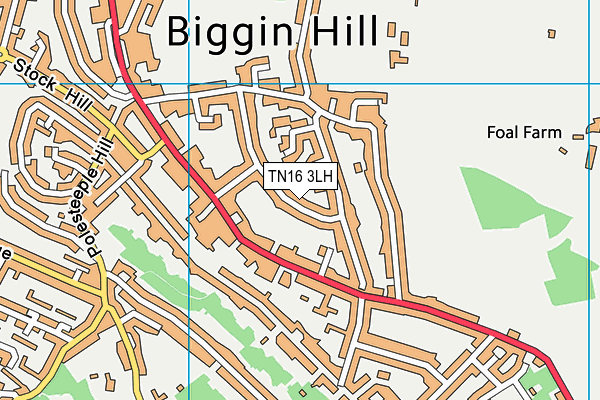 TN16 3LH map - OS VectorMap District (Ordnance Survey)