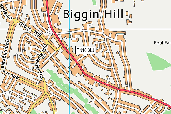 TN16 3LJ map - OS VectorMap District (Ordnance Survey)