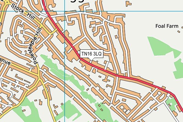 TN16 3LQ map - OS VectorMap District (Ordnance Survey)