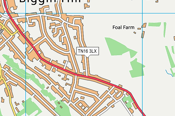 TN16 3LX map - OS VectorMap District (Ordnance Survey)