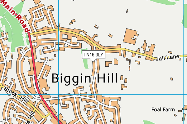 Biggin Hill Primary School map (TN16 3LY) - OS VectorMap District (Ordnance Survey)