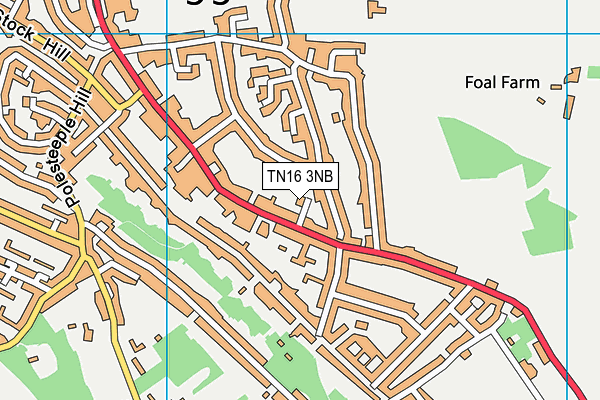 TN16 3NB map - OS VectorMap District (Ordnance Survey)