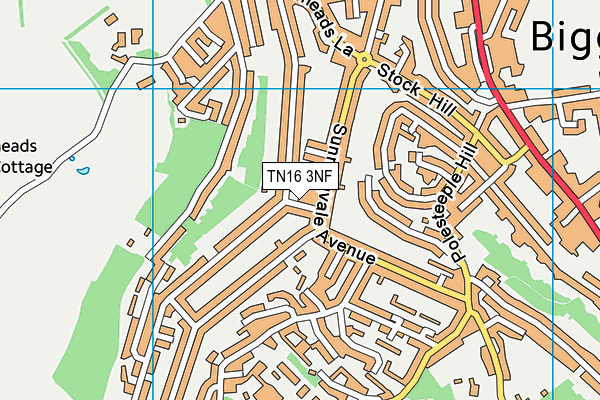 TN16 3NF map - OS VectorMap District (Ordnance Survey)